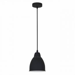 Изображение продукта Подвесной светильник Arte Lamp Braccio 